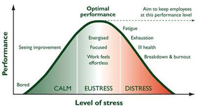 curva-de-rendimiento
